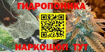 крисы Бузулук