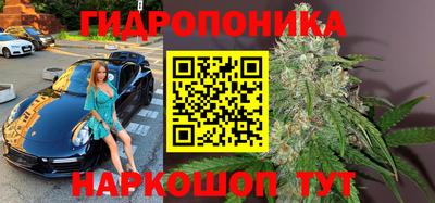 крисы Бузулук