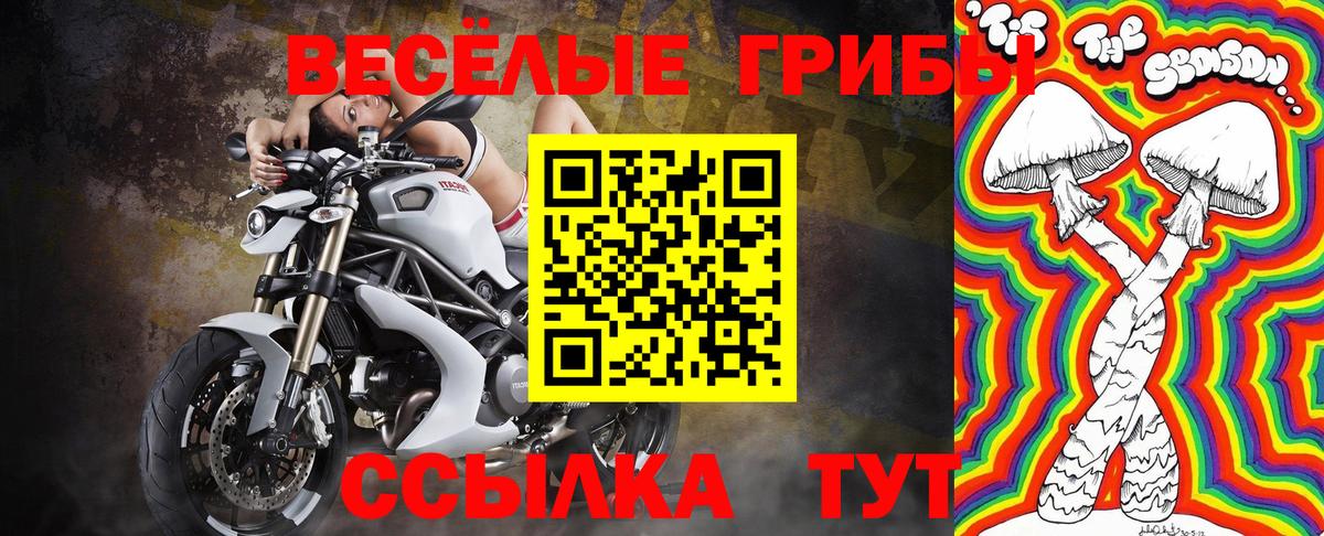 Галлюциногенные грибы прущие грибы Среднеуральск